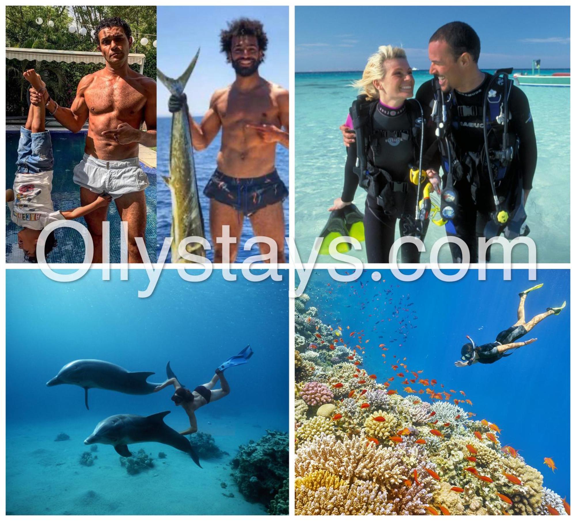 Ollystays Mangroovy 1 Bedroom Beach And Pool Free Access Hurghada Extérieur photo