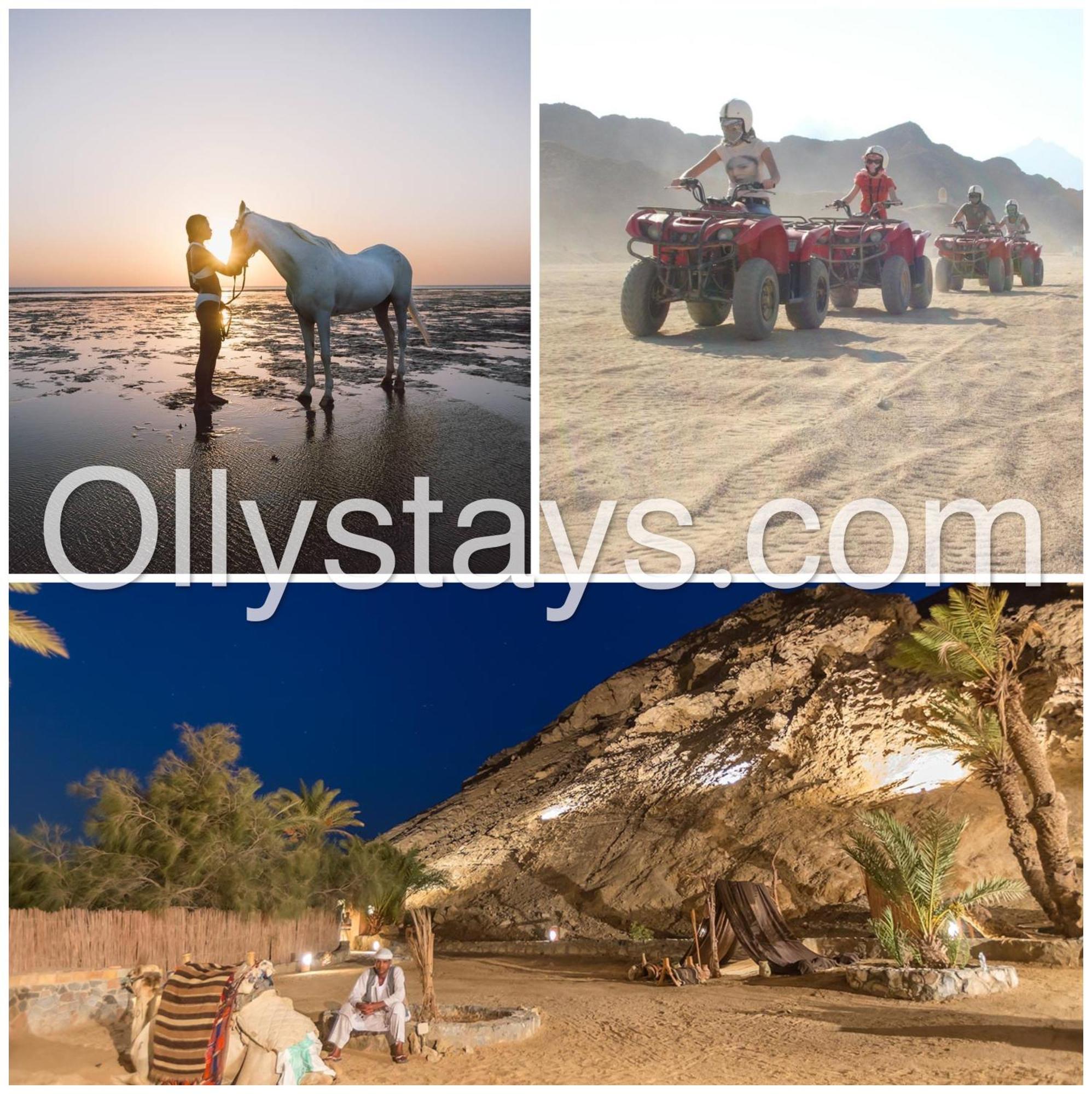 Ollystays Mangroovy 1 Bedroom Beach And Pool Free Access Hurghada Extérieur photo